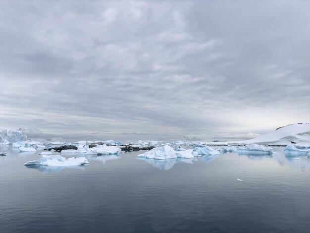 남극의 해안에서 남쪽 바다에 있는 거대한 높은 분리된 빙하, 남극.