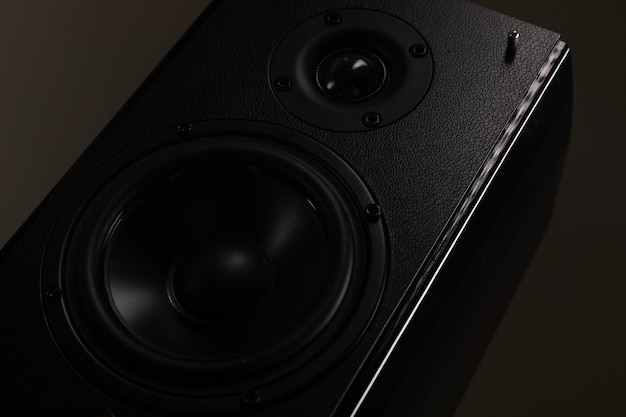 Huge multimedia speaker audio monitor on a dark background closeup with a large speaker