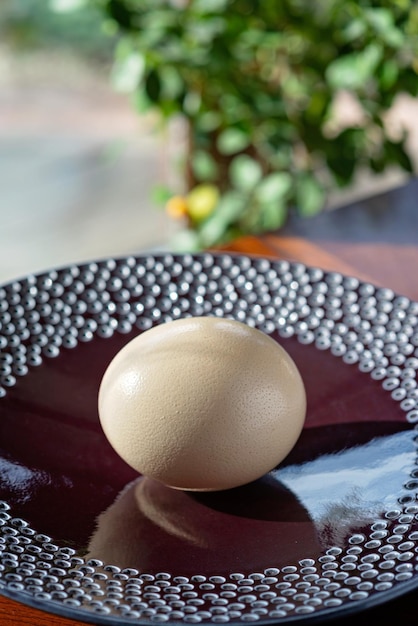 A huge ostrich egg on a large plate against a background of summer greenery Organic eco food products Soft selective focus