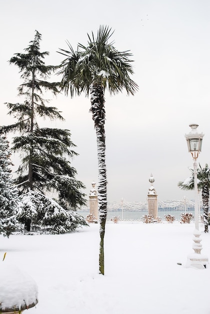 Huge picturesque Dolmabahce Palace in Istanbul. Turkey.