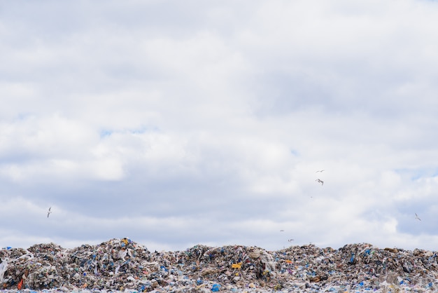 Foto enorme mucchio di immondizia in una discarica cittadina in una giornata uggiosa