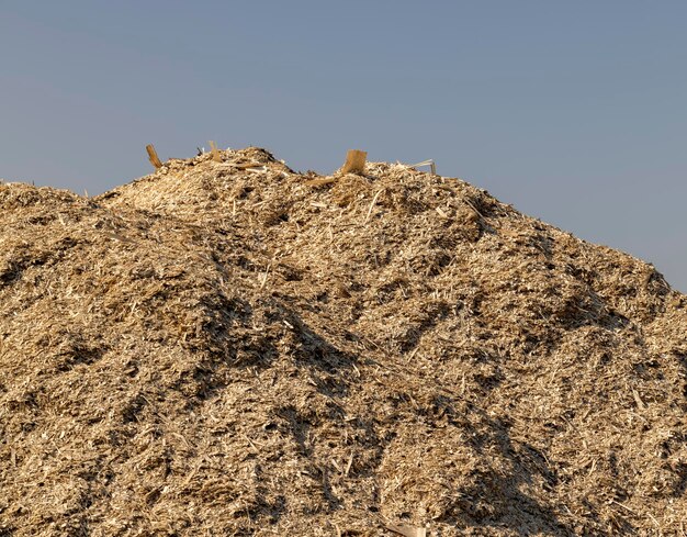 A huge pile of sawdust at a woodworking company