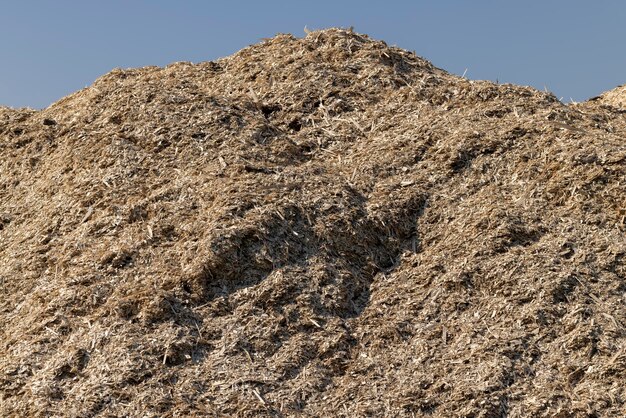 A huge pile of sawdust at a woodworking company