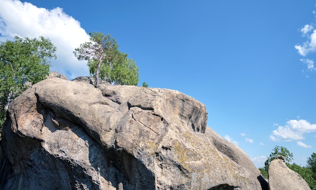 여름 화창한 날에 나무가 자라는 산에서 높은 거대한 바위 바위 형성