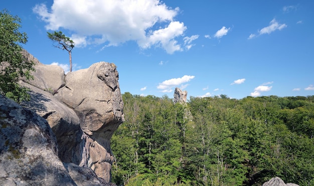 Huge rocky boulder formations high in mountains with growing trees on summer sunny day