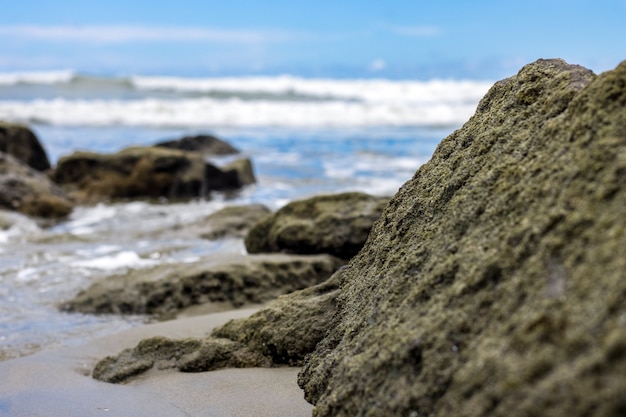 海の近くの完全に覆われた苔と巨大な石は、選択的な焦点でエッジビューをクローズアップ