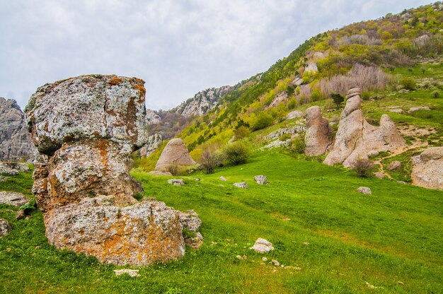 Huge stones covered with moss and trees on the side of the mountain