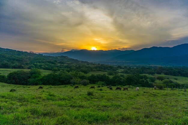 Huila Colombia Landscape