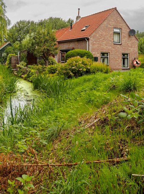 Foto huis aan de rivier of het kanaal in de bossen en het bewolkte riet in vlaardingen nederland