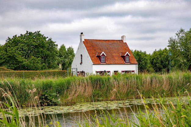 Foto huis bij bomen en gebouw tegen de lucht