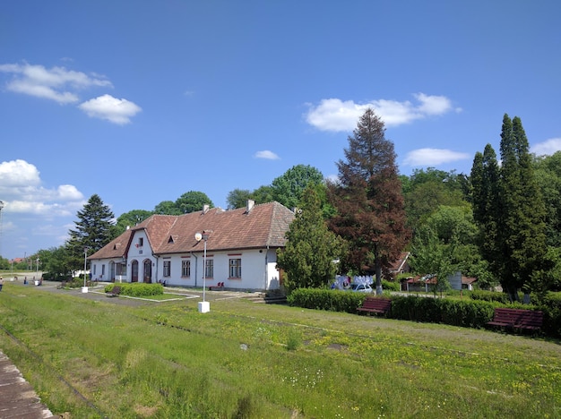 Huis bij bomen en gras in de tuin