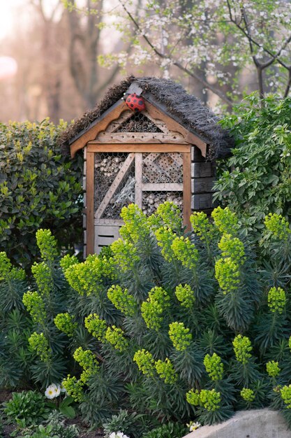 Foto huis en bomen in de tuin