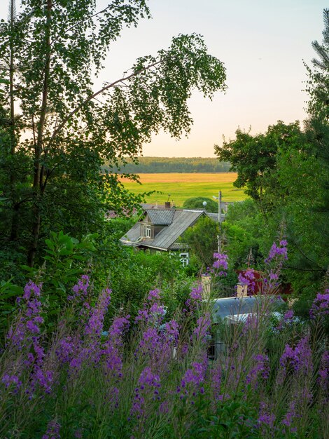 Huis in een dorp op de vlakte. Bovenaanzicht.