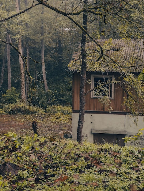 Foto huis in het bos