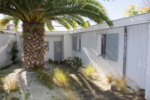 Huis in nieuwe stijl met tropische boom in de tuin