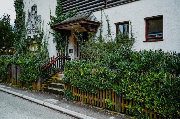 Huis met groene struiken