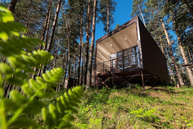 Huis of hotel met panoramische ramen in dennenbos mooie zomerochtend met lichte zon natuur