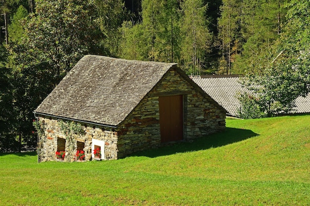 Foto huis op het veld tegen bomen en planten