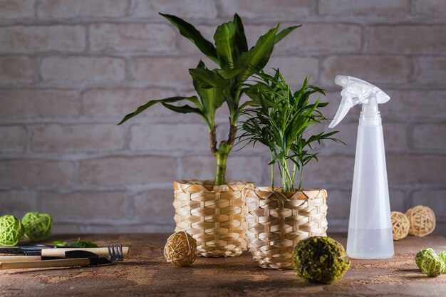 huis tuin met potplanten en tuinartikelen