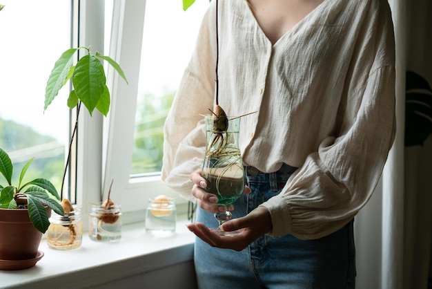 Huis tuinieren concept Onherkenbare vrouw met retro pot met avocado plant groeit in water