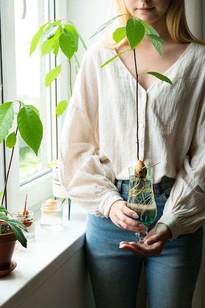 Huis tuinieren concept Onherkenbare vrouw met retro pot met avocado plant groeit in water