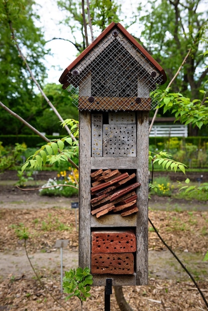 Huis voor insecten