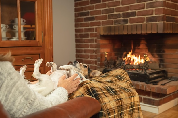 Huisdier hond liggend op zijn rug en bovenop een vrouw voor de gezellige open haard in de winter