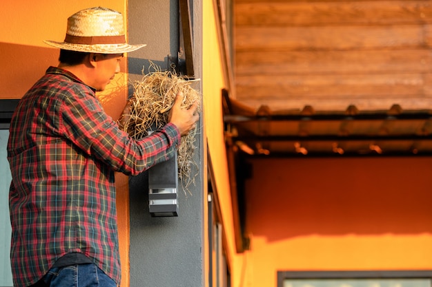 Huiseigenaar die het vogelnest verwijderen uit huismuur