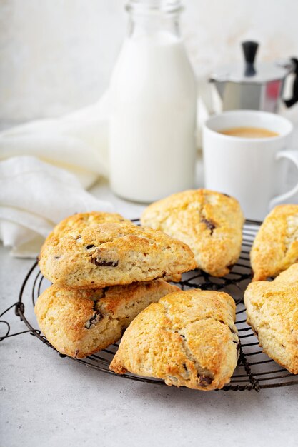 Foto huisgemaakte chocoladebonnetjes