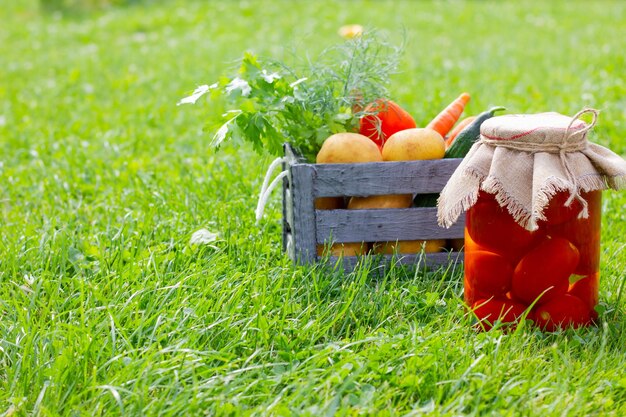 Huisgemaakte groentebereidingen in een glazen pot en een rieten mand op het gras