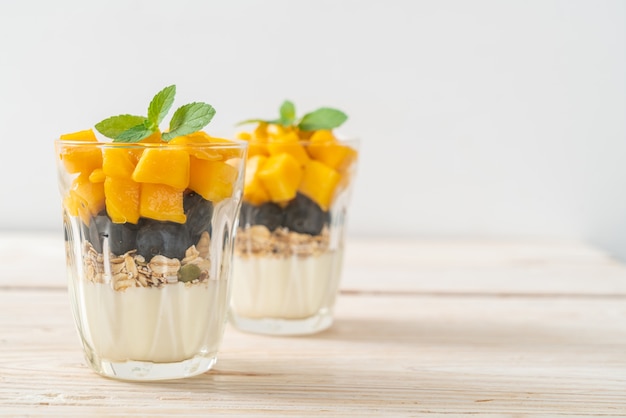 Huisgemaakte verse mango en verse bosbessen met yoghurt en granola