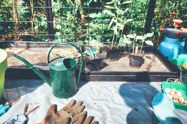 Huishoudelijke artikelen voor de tuin. Rubberen handschoenen, bloempotten, zaailingdozen, Kas in achtertuin groeiende planten thuis gezellige hoek