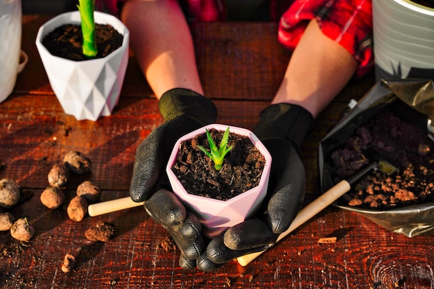 Huishoudelijke klusjes voor het overplanten van bloemen in een nieuwe pot Hulpmiddelen voor het planten van grond en drainage Handen aan het werk