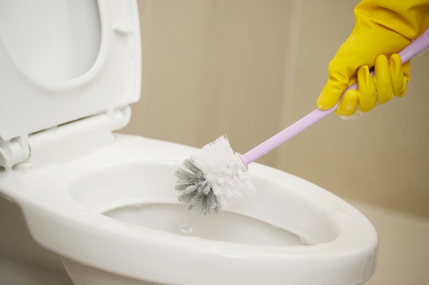 Huisvrouwen gebruiken borstels om de badkamer schoon te maken en voor sanitair te zorgen