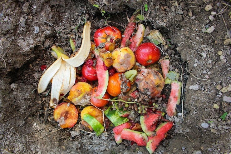 Huisvuil voor compost van groenten en fruit in de tuin.