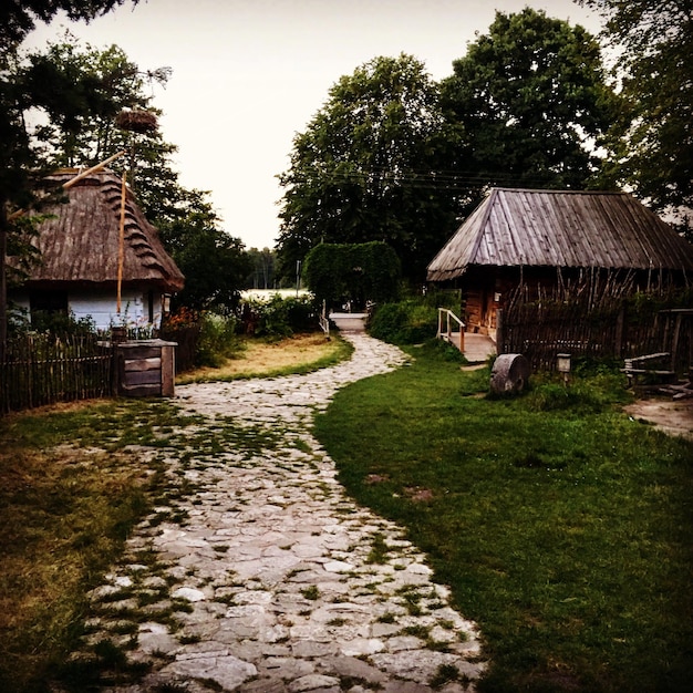 Foto huizen bij bomen tegen de lucht