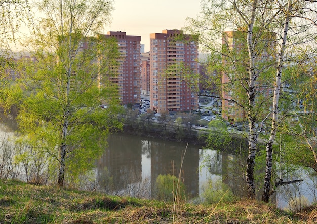 Huizen door de berkenbomen in Novosibirsk