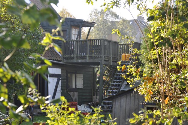 Foto huizen en planten per gebouw