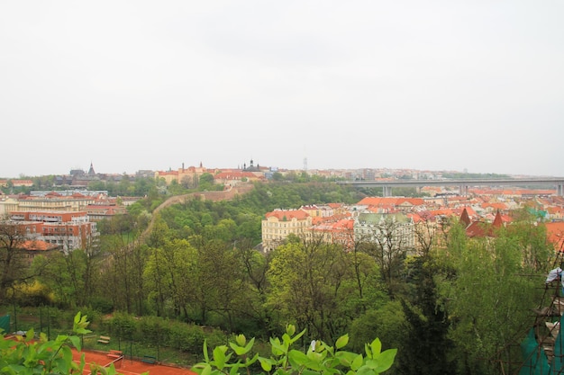 Huizen en straten van Praag