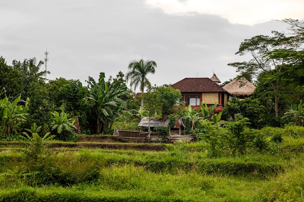 Huizen in de jungle. Balinees landschap.