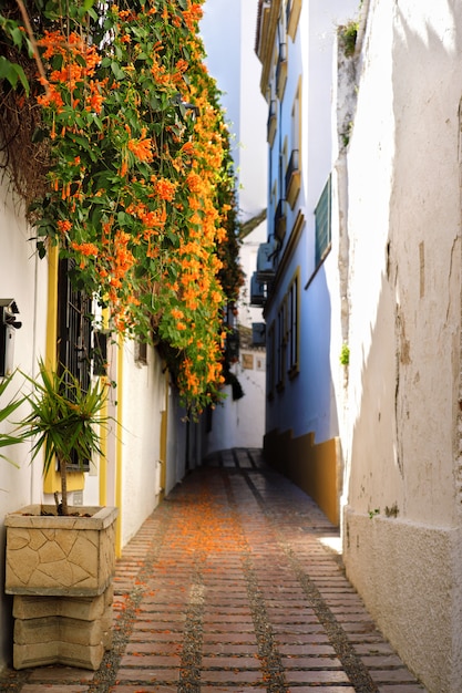 Huizen met bloemen in de oude stad van Marbella in Spanje