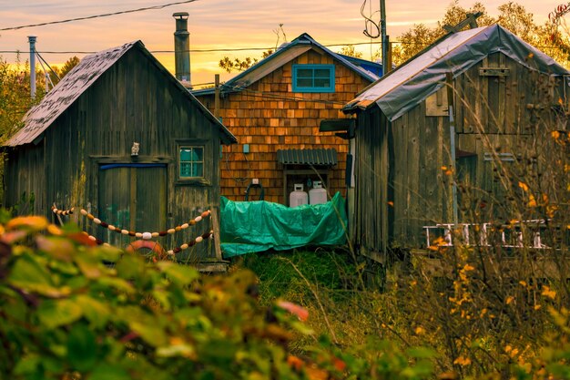 Foto huizen op het veld tegen gebouwen