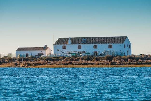 Huizen rond het strand van faro.