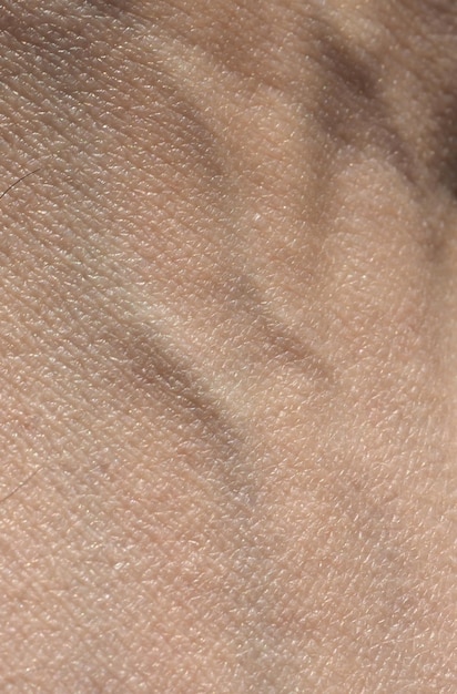 Photo human arm veins