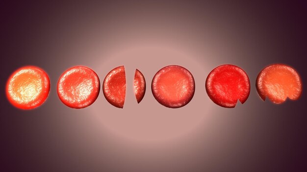 Photo human body blood cells 3d illustration