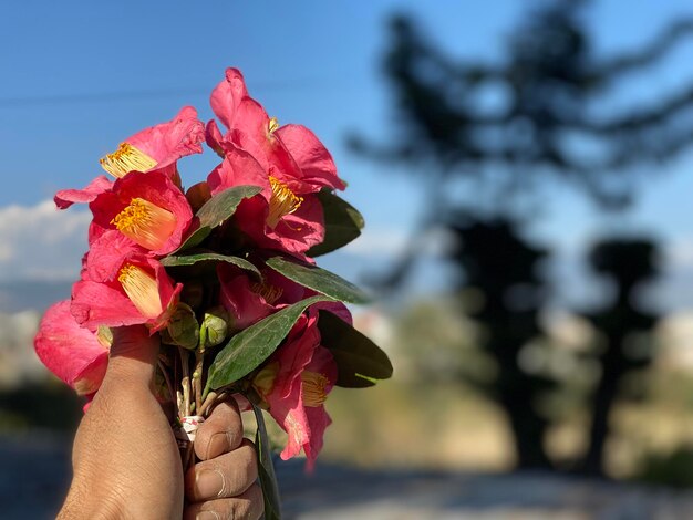 Human body part in pulchowk