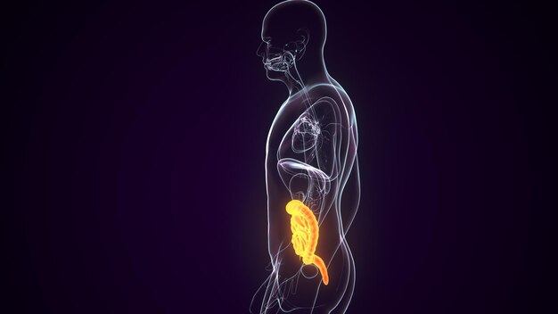 Photo a human body with a yellow belly and a yellow belly