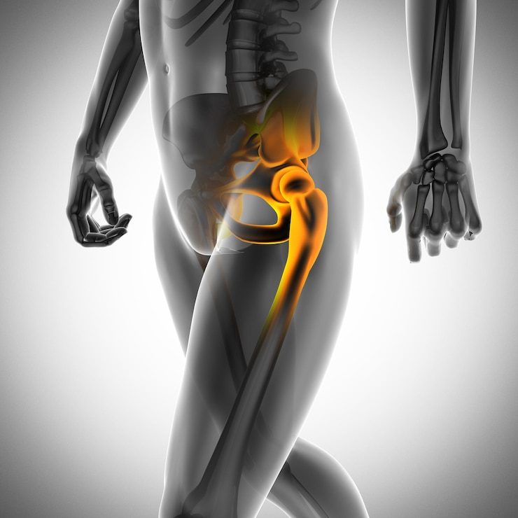 Photo human bones radiography scan xray image