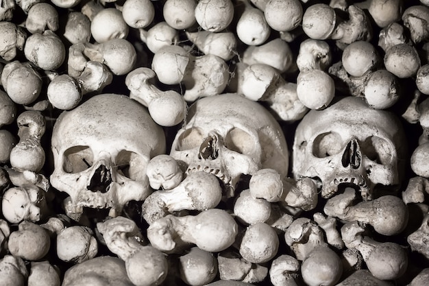 Photo human bones and skulls as a background