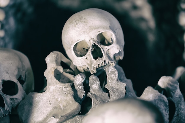 Photo human bones and skulls as a background.